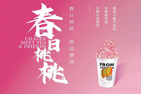 一二三线城市加盟霸王茶姬费用要多少钱？加盟条件及申请流程解析