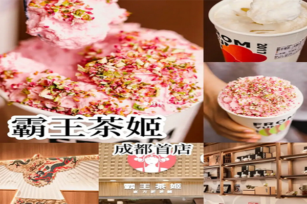 霸王茶姬加盟